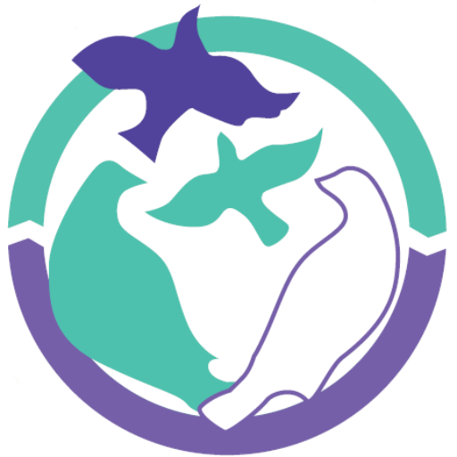 Bridgeport International Academy Inc logo